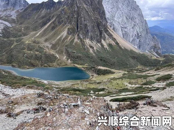 阿雷巴洛错颁后冠的意外走红