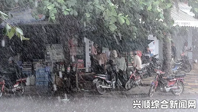 暴风雨的袭击和影响