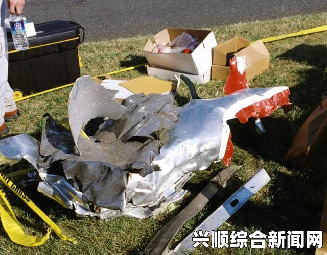 法航假炸弹事件引发全球关注，涉案两人遭拘捕，航空公司决定严厉起诉