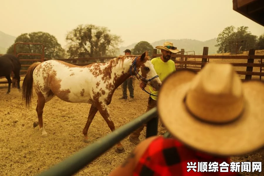 澳大利亚维州山火持续肆虐，逾60名居民流离失所