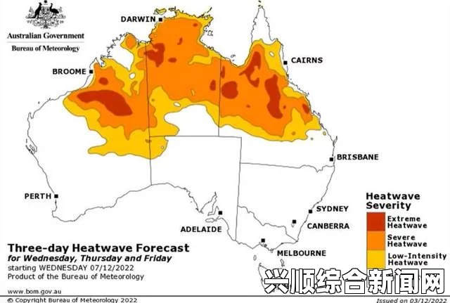 澳大利亚南部数州遭遇极端热浪，考拉被热晕—生态危机的警钟