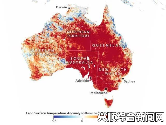 澳大利亚南部数州遭遇极端热浪，考拉被热晕—生态危机的警钟