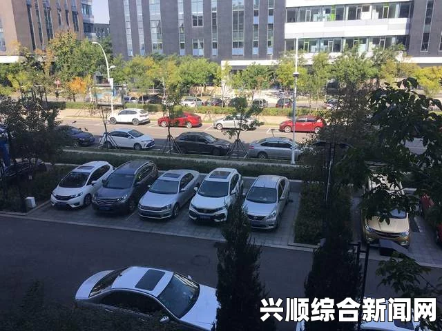 日韩理论片的独特魅力与深刻社会意义，它们为什么受到独立影迷喜爱？