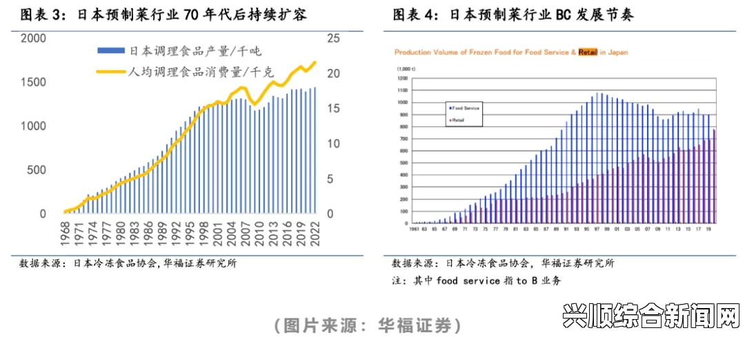 为什么9AB2尺寸在日本市场如此重要？它对制造业的影响有哪些？