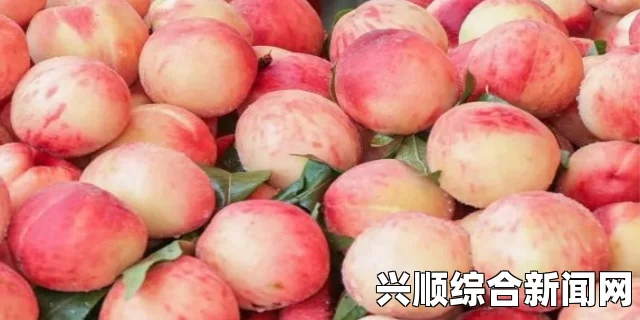 91蜜桃是什么？为什么它成为了市场上的热销水果？，情感沟通与互动方式