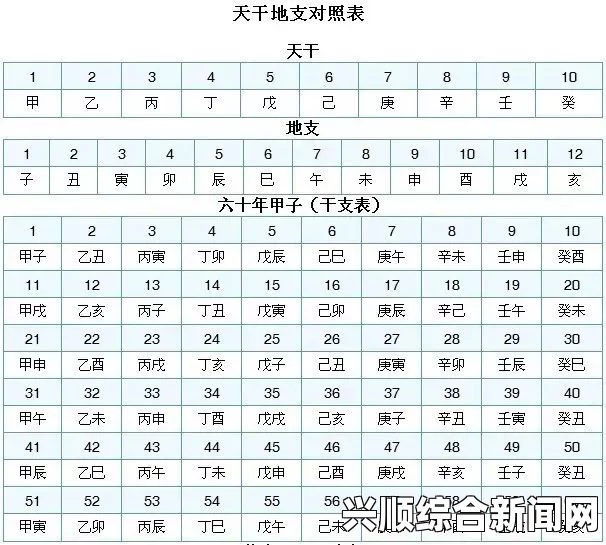 日本尺码中的一码、二码、三码究竟对应怎样的汉字尺码？详细解析与对照表揭秘，最新热门剧集免费看