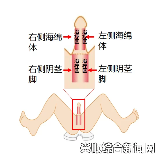 双茎同进一舒服吗？这种做法对身体有哪些影响？，沟通技巧与建议