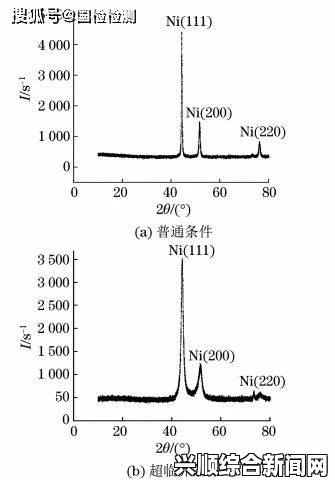 9731芳草地为何成为人们向往的自然天堂？，享受更高质量的性生活