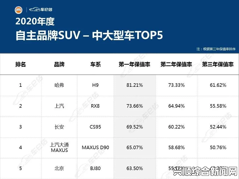 91免费版有哪些功能优势？全面解析其独特特点与实用性，从身材到气质的变化