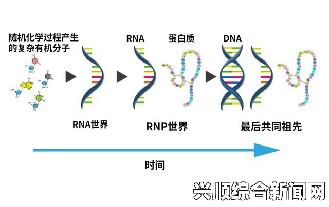 RNA与DNA杂交过程是如何进行的？探讨其机制及生物学意义，畅享无限乐趣