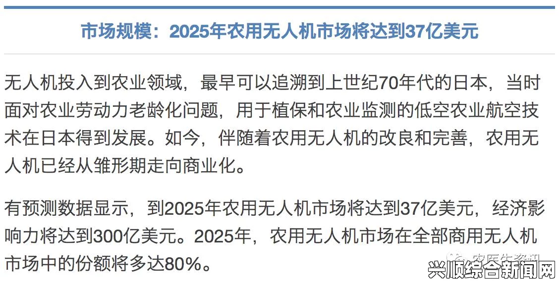 亚洲无人区码的三种不同编码：解析与应用实例分析，其独特的情节与角色魅力