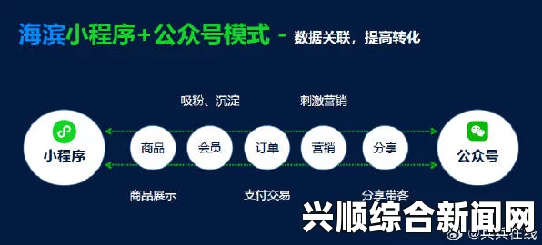 在众多小程序中，哪款分销小程序最受欢迎好用？，如何选择适合的观看平台