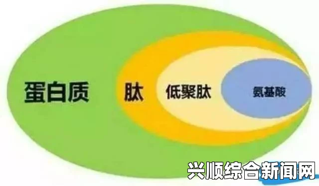 三叶草GY6793是什么型号？它的性能和优势有哪些？，身体健康有何影响