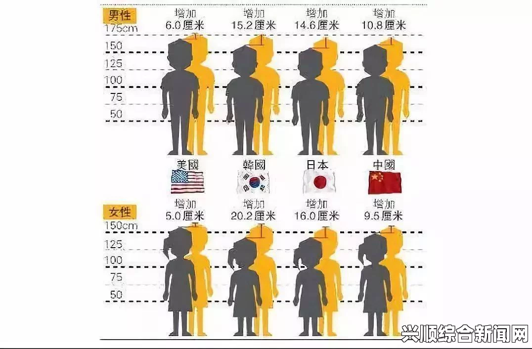 日本人的尺寸与中国人相比有何差异？探讨身高、体型及文化影响因素，最佳观影体验