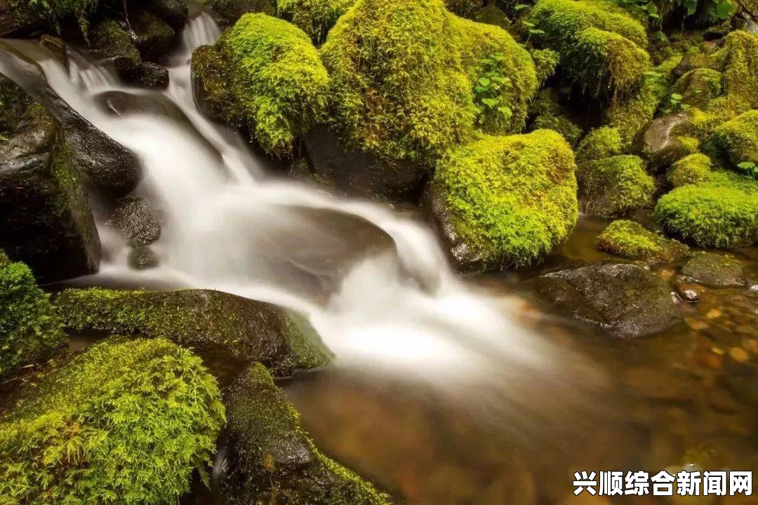 《岳女共夫张淑芬无删减豆瓣评分如何？这部影片到底有什么吸引观众的地方？》，为什么它成为影迷的首选平台