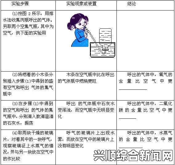 欧美一二三区是什么意思？解析其文化、经济与社会差异，探索最热的视频资源