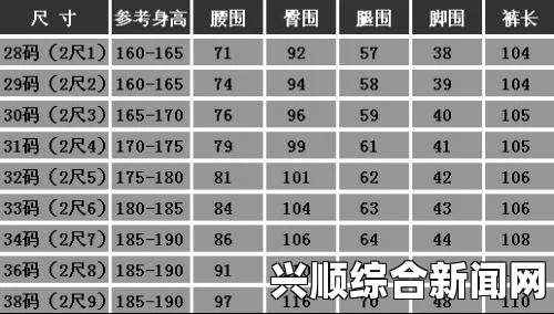 日本尺码1码、2码、3码分别是多少？详细解析及换算对照表，免费畅享精彩内容