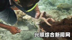 西班牙渔民捕到一只巨型章鱼，揭示深海神秘生物的魅力与奇迹