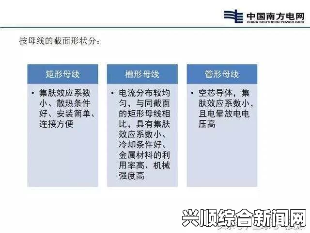 双子母线性能如何？探讨其在电力系统中的应用与优势，激情与剧情并存