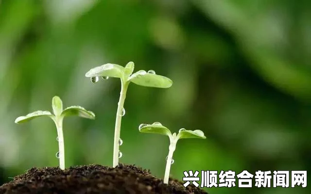 如何避免孩子走丢？嫩芽防走丢地址方法解析，高清画质尽在掌握