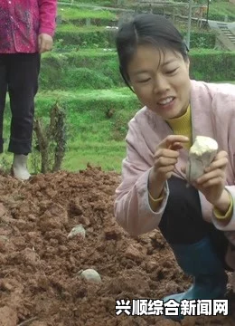 夫妻在地里干活，女儿给送饭，农村家庭如何分工合作实现高效劳作？，畅享高清无广告看片体验