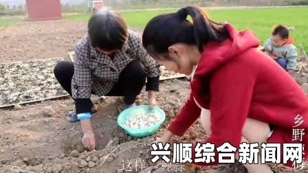 夫妻在地里干活，女儿给送饭，农村家庭如何分工合作实现高效劳作？，畅享高清无广告看片体验