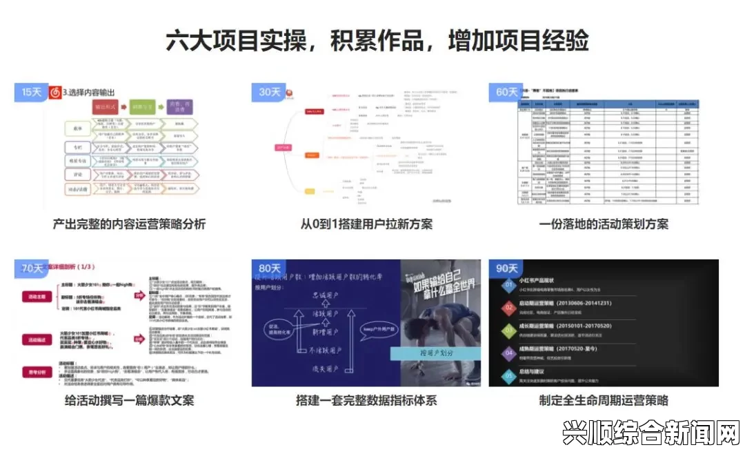 如何高效使用十八模1.1.3破解版版本提升设计效率？掌握技巧与实用功能，快速完成项目设计。，多元化美的接受度如何提升