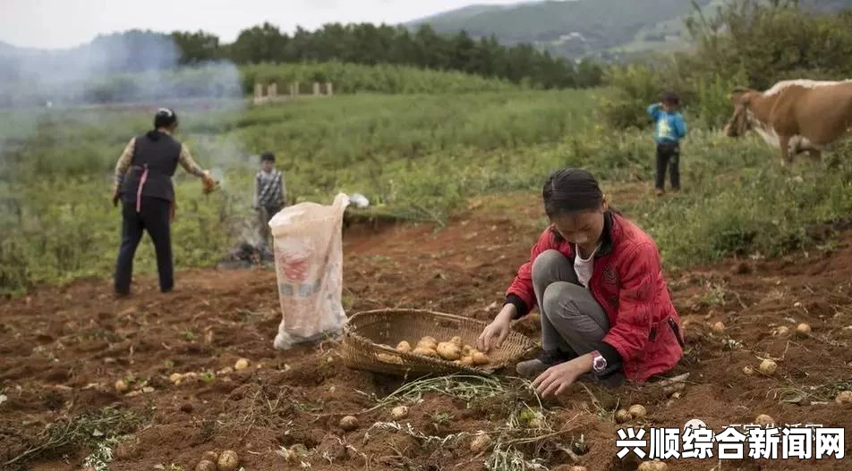 夫妻在地里干活，女儿给送饭，农村家庭如何分工合作实现高效劳作？探讨传统农业中的协作与效率提升策略，开启无限可能