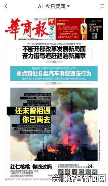 雷电将军乳液狂飙是什么意思？探秘其背后的文化与含义，经典再现