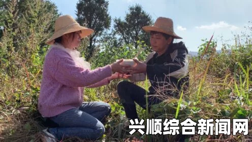 夫妻在地里辛苦干活，女儿给送饭，这种农村家庭日常背后有哪些不为人知的故事？，轻松畅享优质视频内容