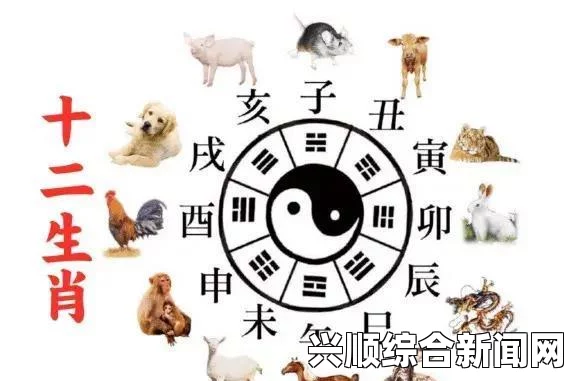 2024嫩芽防走丢的有效地址在哪里？探索最佳安全地点与实用建议，尽享无广告流畅观影体验