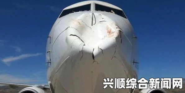 深入探讨，航空乘客拍下至少八个不明飞行物事件揭秘（图文报道）