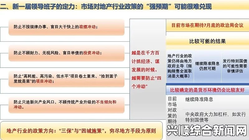 政策动向深度解析与背景探讨