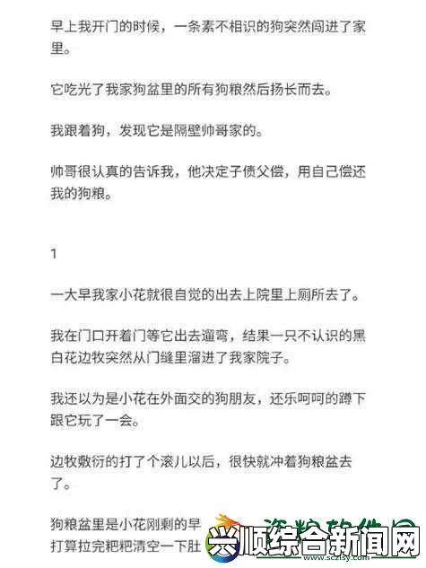 混乱小镇售票员用B检票TXT是什么？探索其背后的故事情节与深刻主题分析