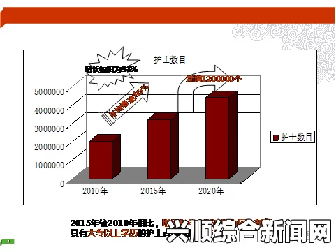 日本护士的工作压力与职业发展现状：为何他们在日本医疗行业中如此重要？——探讨护士面临的挑战及其对医疗服务质量的影响