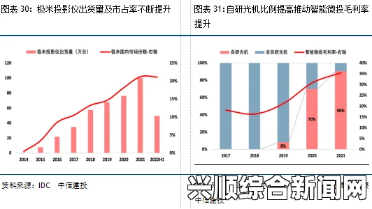 深入解析“国精产品无人区一码二码三”：技术创新与市场需求的完美结合，探索未来发展的新机遇与挑战