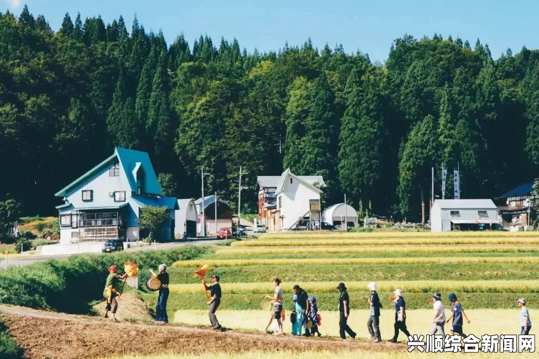 日本朋友家的麦子：体验日本乡村麦田文化与收获季节的深刻意义，感受自然与人文交融的美好时光