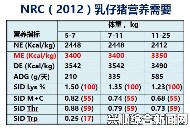 欧美尺码日本尺码差异解析：如何准确选择合适尺码及物流服务，确保购物无忧与舒适体验