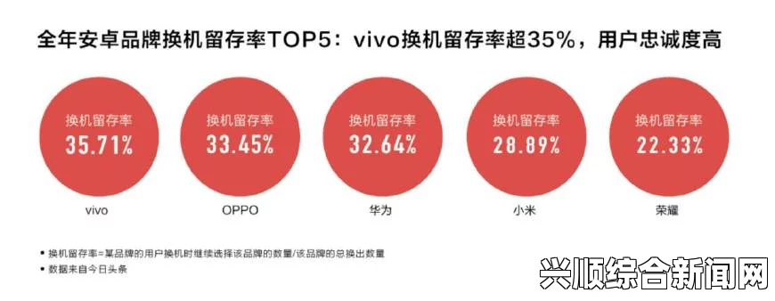 成色好的Y31s是国产手机：vivo Y31s的性价比优势与市场表现分析，探讨其在年轻用户中的受欢迎程度与竞争力