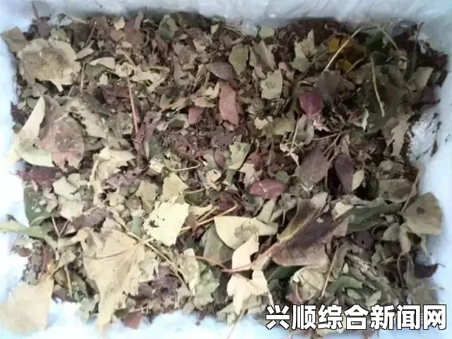 在床上的扦插方法真的能写出72种汉字吗？探索创意与技巧的完美结合