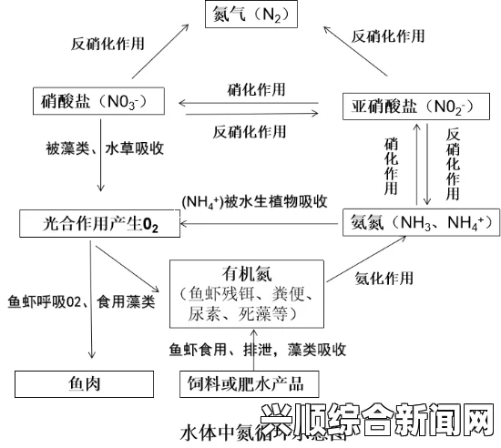 男性性功能突然下降的原因分析：从生理到心理，全面解读影响因素及解决办法——探讨常见病因与有效应对策略