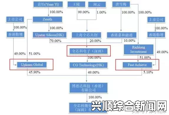 51cg平台的永久IP地址究竟是什么？如何获取与使用？详解获取方法及注意事项