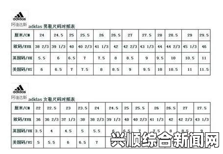 三叶草M码与欧洲码的区别及其对学生鞋码选择的影响：如何正确选择适合自己的鞋码