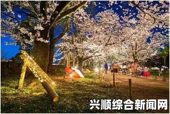 樱花动漫2024官方入门网站 樱花动漫2024在线观看入口 - 探索最新热门动画与精彩内容的最佳平台