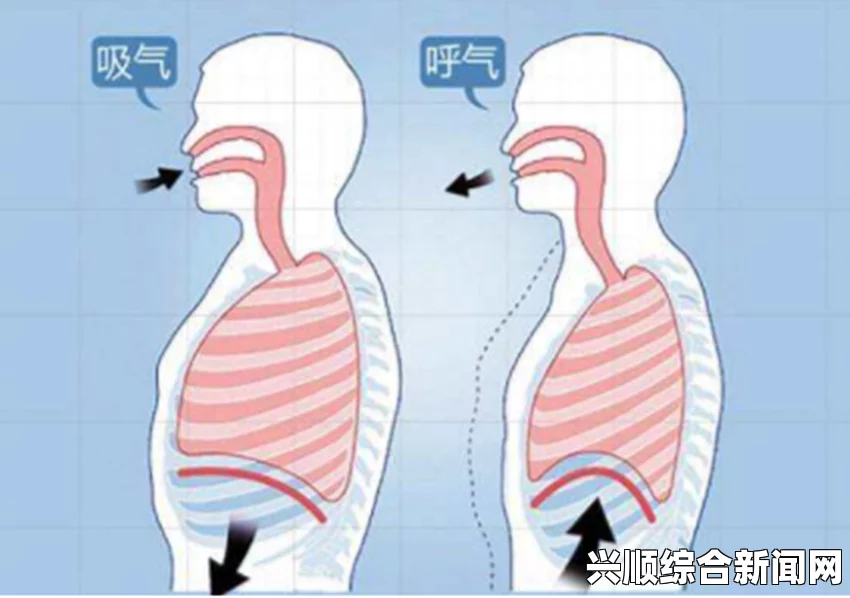 张开嘴巴吸气的动作及其对呼吸健康的益处解析：提升肺活量与改善氧气摄入效率的重要性