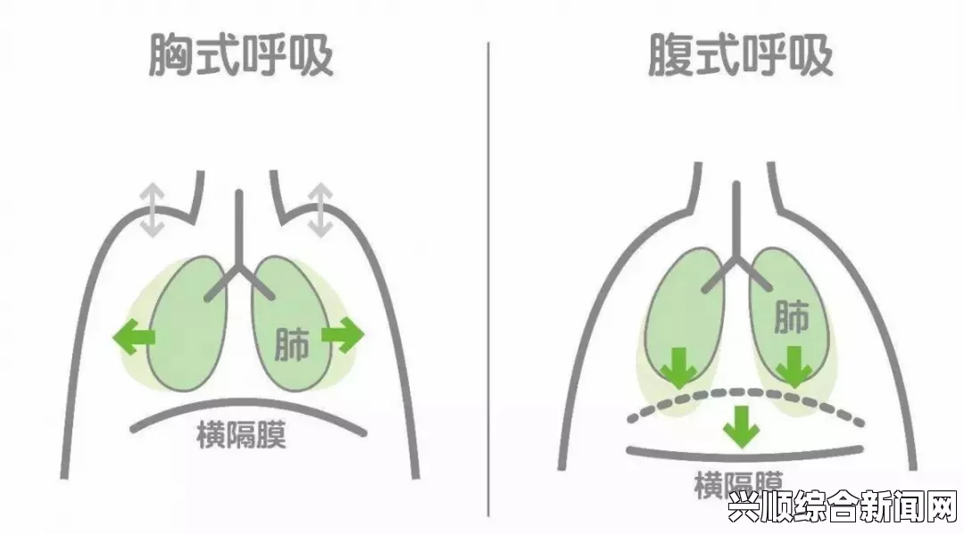 张开嘴巴吸气的动作及其对呼吸健康的益处解析：提升肺活量与改善氧气摄入效率的重要性