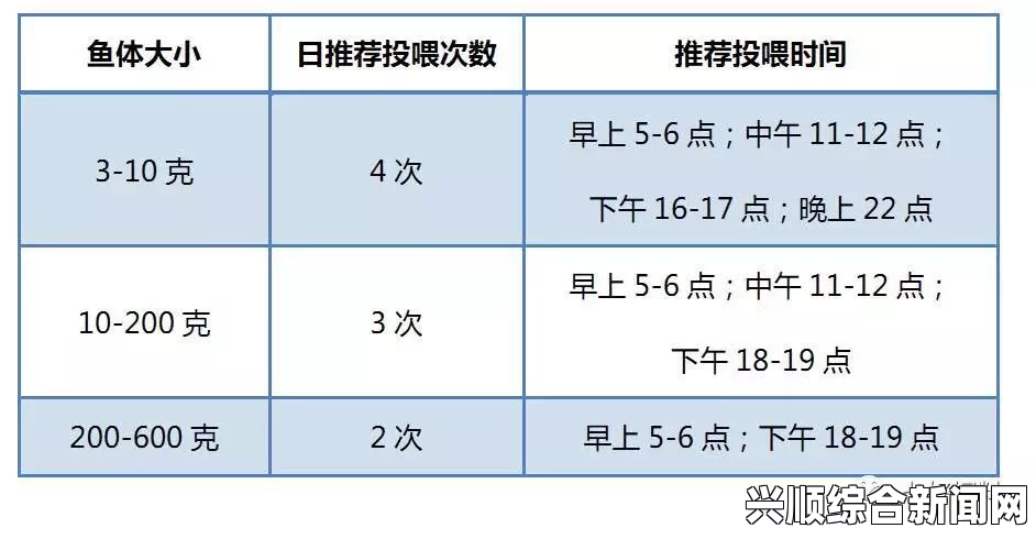 欧洲尺码、日本尺码与美国尺码差异解析：如何准确选择合适尺寸以避免购物误区