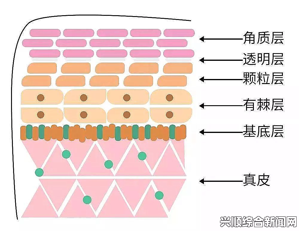 国产一区二区三区四区精华液毛重之谜：揭示其成分与效果的深层次分析