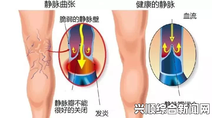 坐着轮流提双腿的好处：增强腿部力量，改善血液循环，缓解久坐引发的疲劳问题，助你保持活力与健康