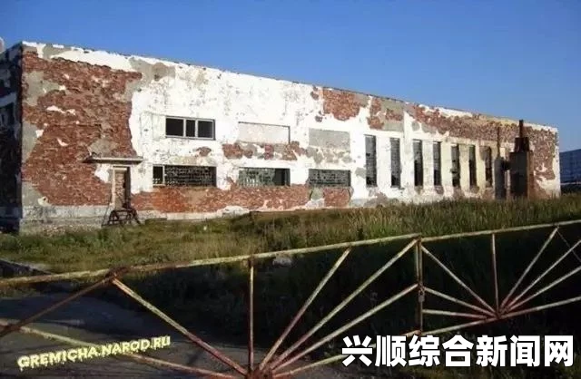 现代化进程中的家庭变迁：当田地荒废，母亲依旧在等你——探寻传统与现代的交织与冲突